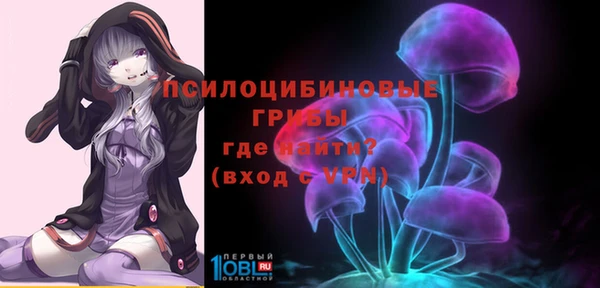 PSILOCYBIN Аркадак