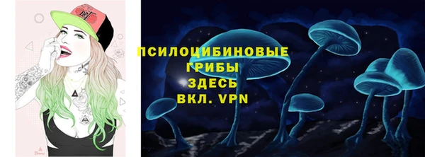 гидра Армянск