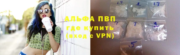 PSILOCYBIN Аркадак