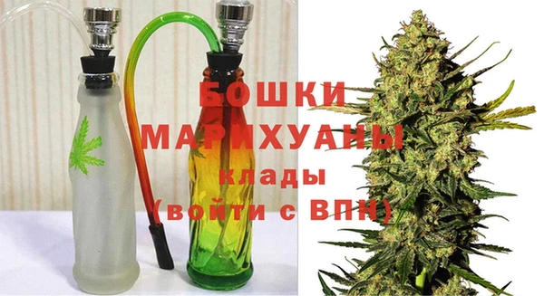 PSILOCYBIN Аркадак