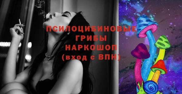 гидра Армянск
