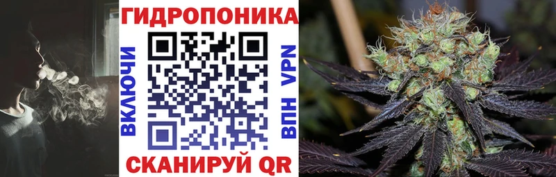 сколько стоит  Бабаево  Бошки марихуана план 